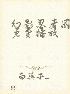 幻影忍者国语版免费播放