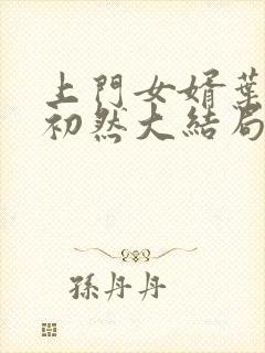 上门女婿叶辰萧初然大结局封面