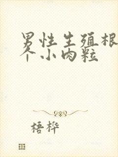 男性生殖根部有个小肉粒封面