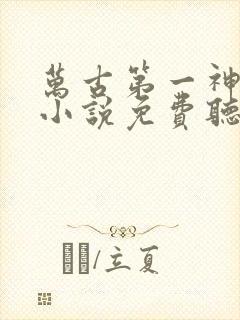 万古第一神有声小说免费听封面