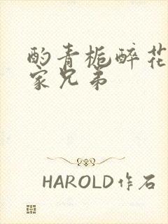 酌青栀醉花阴贺家兄弟封面