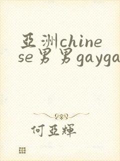 亚洲chinese男男gaygay网站