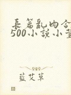 长篇乱肉合集乱500小说小莹