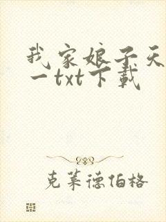 我家娘子天下第一txt下载