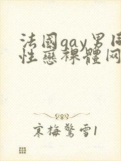 法国gay男同性恋裸体网址封面