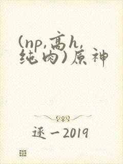 (np,高h,纯肉)原神