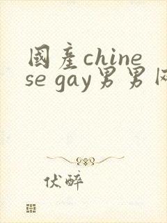 国产chinese gay男男网站封面