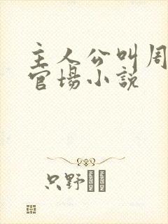 主人公叫周平的官场小说