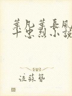 叶凡叶长风一门十忠烈小说