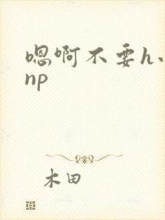 嗯啊不要h小说np封面
