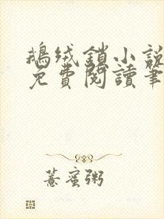 鹅绒锁小说全文免费阅读笔趣阁