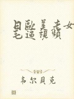 日欧美老女人的毛逼视频