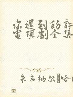 你迟到的许多年电视剧全集