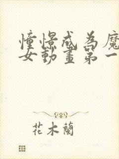 憧憬成为魔法少女动画第一季免费观看封面