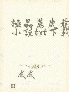 极品万岁爷妖刀小说txt下载