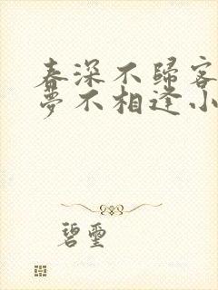 春深不归客,清梦不相逢小说阅读