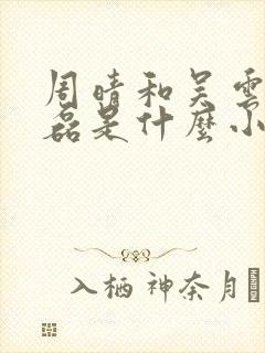 周晴和吴云峰李磊是什么小说封面