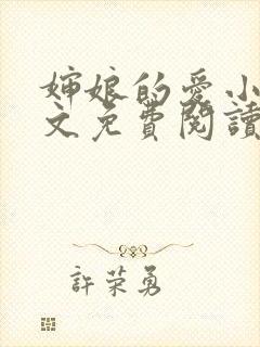 婶娘的爱小说全文免费阅读