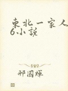 东北一家人1一6小说