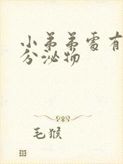 小弟弟处有白色分泌物封面