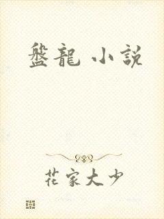 盘龙 小说