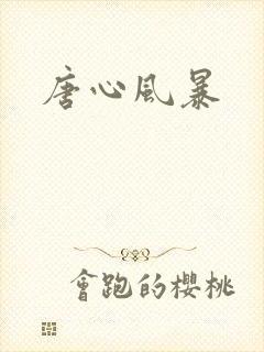 唐心风暴