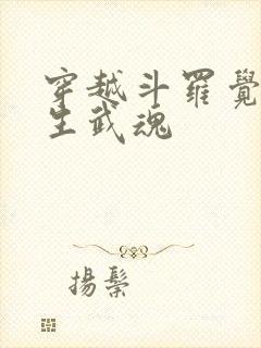 穿越斗罗觉醒十生武魂封面