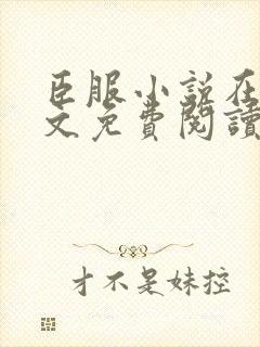 臣服小说在线全文免费阅读笔趣阁无弹窗