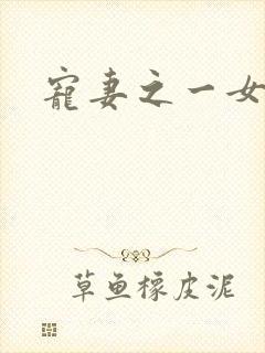 宠妻之一女二夫