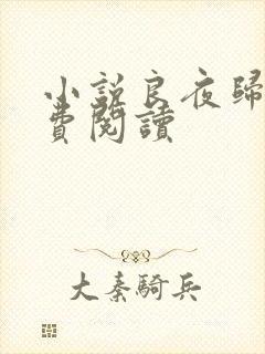 小说良夜归心免费阅读