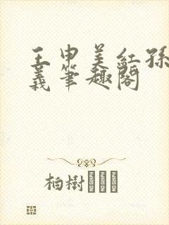 王申美红孙倩高义笔趣阁封面