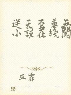 逆天至尊无删减小说在线阅读封面