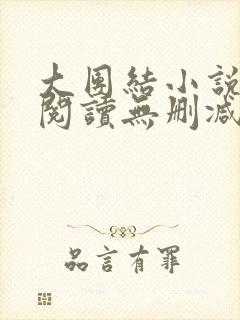 大团结小说在线阅读无删减