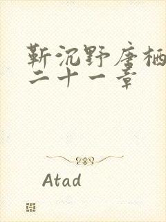 靳沉野唐栖雾第二十一章