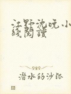 江野沈晚小说在线阅读