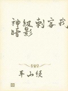 神级刺客我既是暗影