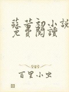 苏若初小说全文免费阅读