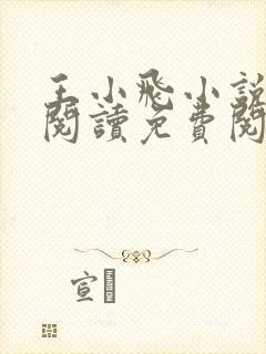 王小飞小说在线阅读免费阅读封面