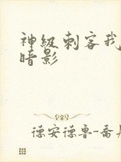 神级刺客我既是暗影