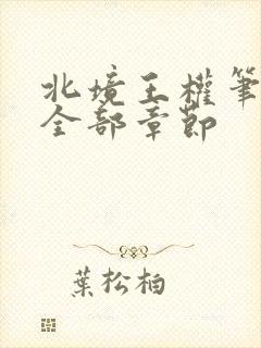 北境王权笔趣阁全部章节