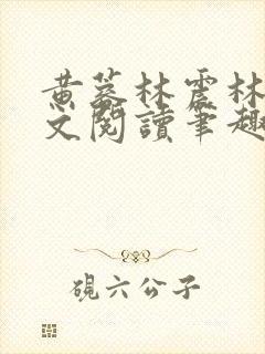 黄蓉林震林震全文阅读笔趣阁封面