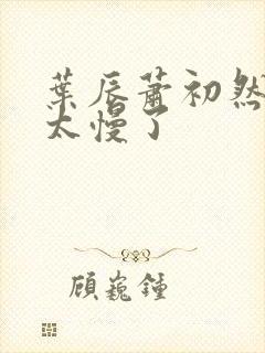 叶辰萧初然更新太慢了封面