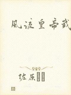 风流皇帝武则天封面