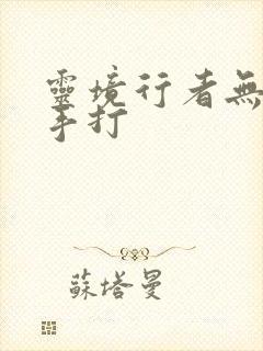 灵境行者无错字手打