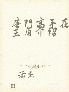 唐门高手在异世主角介绍