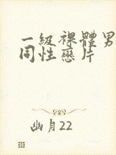 一级裸体男模特同性恋片