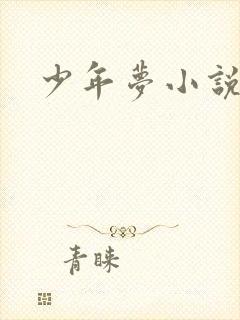 少年梦小说
