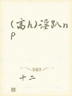 (高h)淫趴np