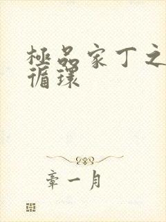 极品家丁之因果循环