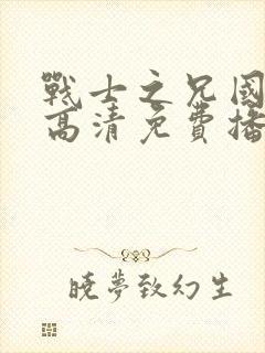 战士之兄国语版高清免费播放